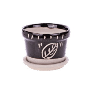 Petite coupelle de plantation